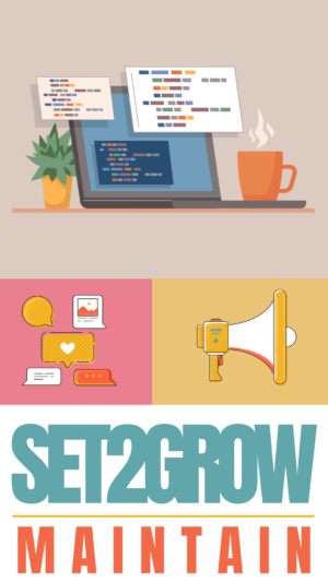 Set2Grow Digital Marketing Solution (Maintenance Phase)
